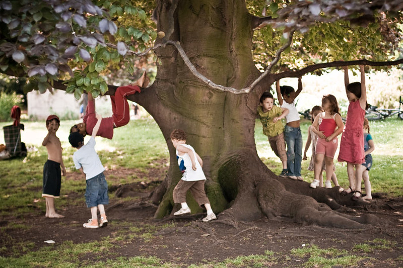 Niños jugando en un árbol